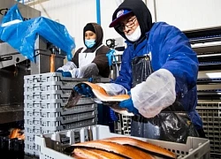 Áp lực đổi mới bủa vây các 'ông lớn' công nghệ toàn cầu