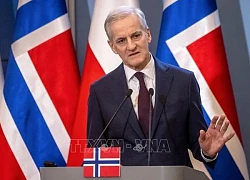 Các nước Bắc Âu và Anh ủng hộ lệnh ngừng bắn 30 ngày giữa Nga và Ukraine