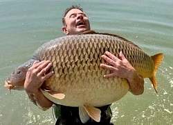 Cần thủ 'vui hơn trúng số' khi câu được cá chép nặng 47 kg