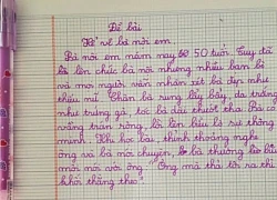 Cậu bé lớp 2 viết văn tả bà nội: "Da trắng như trứng gà, ông mà thả ra thì khối người theo" - Dân mạng đọc xong chỉ biết cười bò