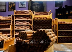 Cuba giành lợi thế trong cuộc chiến bảo vệ thương hiệu xì gà Cohiba