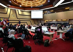 Cuộc họp lần thứ 13 Ủy ban Hợp tác chung ASEAN-New Zealand