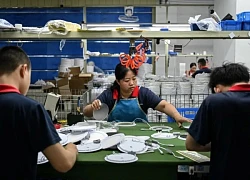 Đầu tư nước ngoài của Trung Quốc tăng trưởng 2 con số khi Tổng thống Trump trở lại