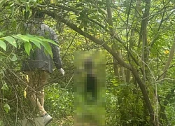 Đi chăn bò phát hiện thi thể đang phân hủy