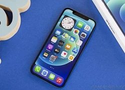 Giá iPhone 11, iPhone 12, iPhone 13 mới nhất giảm mức chưa từng có, chỉ từ 8 triệu đồng, xứng danh bộ 3 iPhone xịn, rẻ nhất Việt Nam