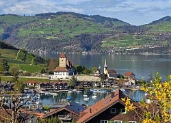 Khung cảnh mùa Xuân tại thị trấn Spiez ở Thụy Sĩ