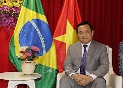Các nước ASEAN thúc đẩy hợp tác với thành phố Belem, bang Para của Brazil
