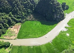 Ngắm bức tranh khổng lồ 'Cá vượt vũ môn' xanh mướt trên cánh đồng ở Ninh Bình