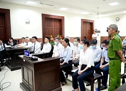 Phúc thẩm vụ Xuyên Việt Oil: Cựu bí thư tỉnh uỷ Lê Đức Thọ được giảm án đến 7 năm tù