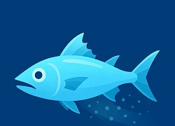 Tiny Fishing 2025 – Đại diện cho làn sóng game trình duyệt thế hệ mới không cần tải ứng dụng