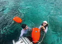 Tôi sững sờ nhìn 4 con rùa quần tụ ở Côn Đảo