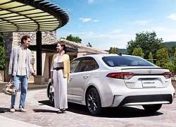 Toyota 'khai tử' toàn bộ xe Corolla chạy thuần xăng
