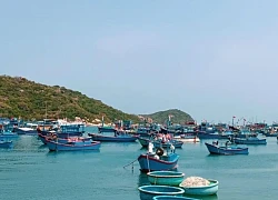 Vi vu khám phá nét đẹp bốn tỉnh duyên hải miền Trung