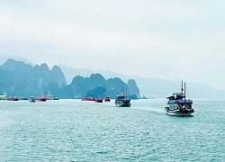 Vịnh Bái Tử Long: Điểm đến mới cho du lịch hạng sang