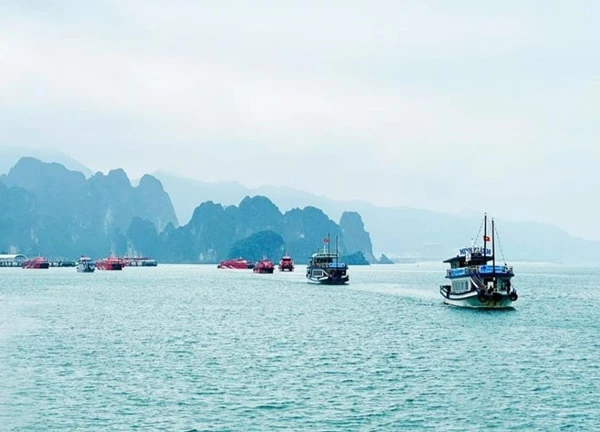 Vịnh Bái Tử Long: Điểm đến mới cho du lịch hạng sang