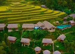 Vùng cao vươn mình nhờ đổi mới sáng tạo dựa trên tiềm năng bản địa