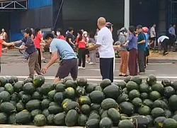 Video: Người dân xếp hàng thu gom, "giải cứu" dưa hấu khi xe tải gặp nạn