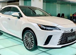 Ai bị triệu tập tới phiên tòa vụ cán bộ tha người buôn lậu xe Lexus?