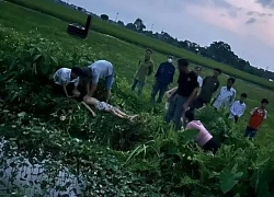 Ba học sinh ở Hà Nội bị điện giật khi gỡ diều, 1 em tử vong