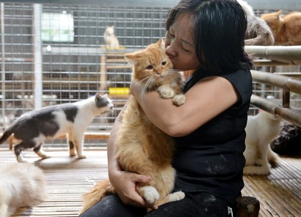 Baidu phát triển hệ thống AI mở ra khả năng giao tiếp giữa con người và động vật