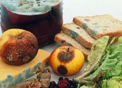 Bạn có chắc bữa ăn hôm nay không gieo mầm ung thư?