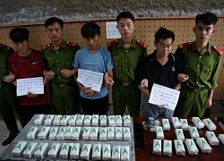 Bắt giữ 3 đối tượng vận chuyển 9 kg ma tuý