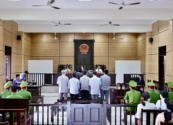 Bỏ lọt tội phạm, cựu trưởng công an và viện trưởng VKS lãnh án