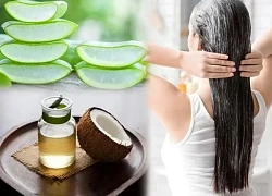 Cách dùng nước ép nha đam chống rụng tóc