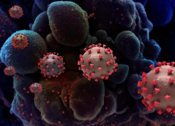 Campuchia kêu gọi tăng cường cảnh giác với biến thể mới gây Covid-19