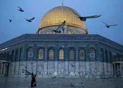 Cảnh sát Israel ngăn chặn hành động tế lễ động vật tại Núi Đền