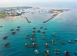 Chiêm ngưỡng vẻ đẹp bảo tàng thiên nhiên núi lửa Lý Sơn