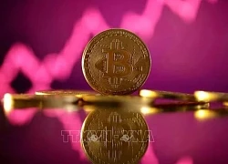 Công ty khai thác Bitcoin của gia đình Tổng thống Mỹ Donald Trump chuẩn bị 'lên sàn'