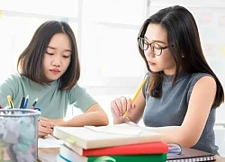 Cùng con ôn thi, nhiều phụ huynh hoang mang khi thấy vở thì ghi chép "đẹp như tranh", nhưng hỏi tới thì "Con không hiểu gì hết!"