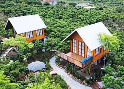 Du lịch trải nghiệm tại thị xã Chũ: Nhiều điểm hút khách