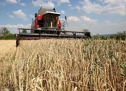 EU bất ngờ chuẩn bị áp thuế cao hơn đối với hàng nhập khẩu từ Ukraine