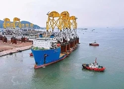 GS.TSKH Hồ Sĩ Thoảng: Khoa học công nghệ có vai trò mở đường, tạo đột phá