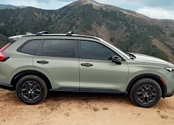 Honda CR-V có thêm phiên bản mới siêu hầm hố, 'đe nẹt' Mazda CX-5, Hyundai Tucson