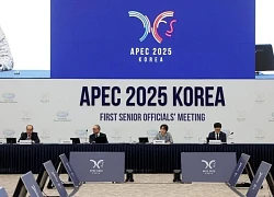Khai mạc Hội nghị Bộ trưởng Thương mại APEC ở Hàn Quốc