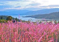 Khám phá lòng hồ Ya Ly - 'Viên ngọc xanh' giữa núi rừng Kon Tum
