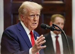 Kịch bản khiến cuộc chiến thương mại của Tổng thống Trump đột ngột ngừng lại vào tháng 6
