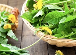 Loại rau mọc dại đầy Việt Nam, nhưng lại là "thần dược" cho sức khỏe