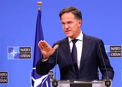 NATO: Đàm phán giữa Nga - Ukraine có thể tiến triển trong 2 tuần tới