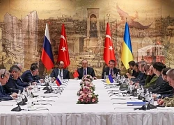 Nga và Ukraine sẵn sàng cho cuộc đàm phán "cân não"