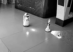 Những con robot trong nhà lúc nửa đêm có 1 hoạt động khiến ai cũng rợn người: Hóa ra chúng có tư tưởng này!