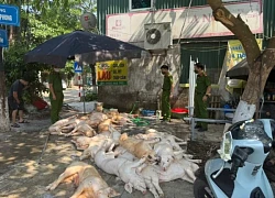 Phát hiện 1 tấn thịt lợn 'xuất huyết ngoài da' chuẩn bị lên lò quay