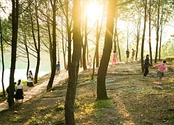 Phát triển du lịch 'theo dấu phim': Góc nhìn từ Huế