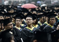 Quá nhiều Gen Z đang làm "người chuột": Chỉ nằm im và chìm trong nỗi buồn vô tận