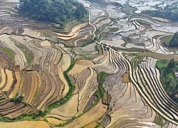 Ruộng bậc thang Sín Chéng mùa nước đổ