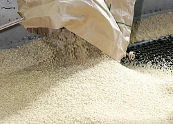Thị trường nông sản: Gạo Mỹ chiếm lĩnh thị trường Nhật Bản
