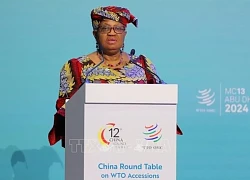 Tổng Giám đốc WTO: Thương mại tự do toàn cầu đang lâm vào khủng hoảng